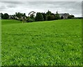 Field near Addiewell in EH55 8NX