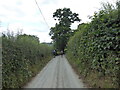Walking a lane near Llanarmon DC in the Ceiriog Valley in LL20 7LJ