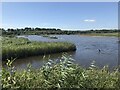 Lake at Lodmoor Nature Reserve in DT3 6HY