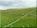 Ruined drystone wall in Hartington & Taddington Ward