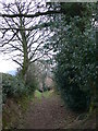 Bridleway to Llong in CH7 4JR