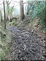 Muddy bridleway in CH7 4JR
