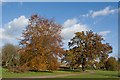 Cassiobury Park showing its autumn colours in WD17 3DQ