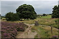 Calderdale Way on Norland Moor in HX4 0BY