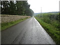 Wall, trees and hedge-lined road heading towards Farnell in DD9 6TU