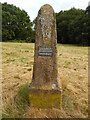 Commemorative Stone Pillar at Cholesbury Common in HP23 6PD