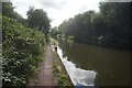 Grand Union Canal towards bridge #74 in B91 2TA