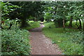 Chiltern Way in Fingest Wood in RG9 6NR