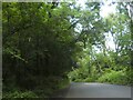 Road in Babeleigh Wood in EX39 5PN