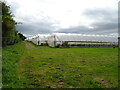 Polytunnels near Sutton Marsh in Withington