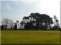 Trees, Oldway mansion, Paignton in TQ3 1PT