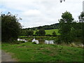 Fishing Pond, Linton in HR7 4QQ