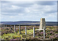 Trig point with wheatear on Collier Law in DL13 2YX