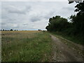 Farm track near Fitton Oake in PE34 3FL