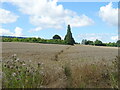 Footpath through crop field off the A438 in HR1 4ET