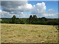 Cut silage field, Little Tarrington in HR8 2RT