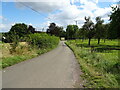 Lane from Little Tarrington towards the A438 in HR8 2RT