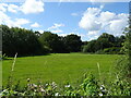 Grazing and woodland, Poolend in HR8 2RW