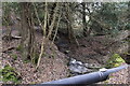 Woodland stream in TN6 3DH