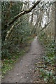 Woodland footpath in TN6 3DH