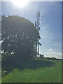 Gogwell mast on a very sunny day in EX16 4HG