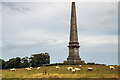 The Bulkeley Monument, Beaumaris, Anglesey in LL58 8LN