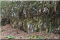Roadside rock outcrop in TN6 3SP