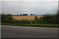 Field by Atherstone Road, Norton-juxta-Twycross in CV9 3PX