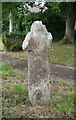 Old Wayside Cross in St Alban's churchyard, Beaworthy in EX21 5AB
