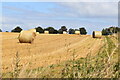 Field edge with bales in SP5 5QJ