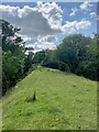 Disused railway embankment in SA9 1FH
