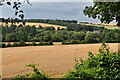 Avon Valley, looking towards Wilsford in SP4 7BL