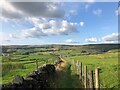 Footpath descending from Running Hill Head in OL3 5JX