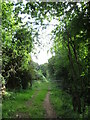 Footpath on lower slopes of Craig Llysfaen in CF14 0UF