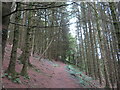 Footpath in Coed y Graig in CF14 0SN