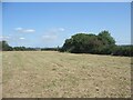 Farm field on the Bridgend Circular Walk between Laleston and Merthyr Mawr in CF32 0LT