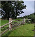 Wooden gate, Kingcoed, Monmouthshire in NP15 1EE