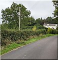 Line spur pole, Kingcoed,  Monmouthshire in NP15 1EE