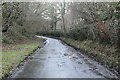 Lane to Padgham Corner in TN21 9NN
