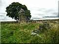 Ruins of Royd Hall, Denholme in HX2 8YD