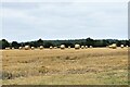 Botesdale: Harvested cereal crop with its straw baled in IP22 1LH