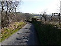 Lon wledig ger Trefilan / Country lane near Trefilan in SA48 8RE