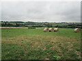 Field of straw bales near Cutlersforth Farm in NG22 8AZ