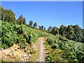 The long track up Craig Varr in PH16 5PS