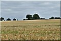 Wattisfield: Harvested cereal crop in IP22 1NN