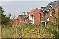 Newly-built housing on the edge of Amesbury in SP4 7DJ
