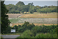 Sloping fields above the A30 near Lopcombe Corner in SP5 1BT