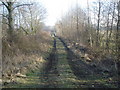 Old railway trackbed near Ashley in HR6 9LL