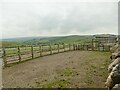 Sheep pens alongside White Hill Lane in BD20 8HX