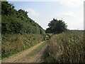 Farm track near West Lexham in PE32 2QZ